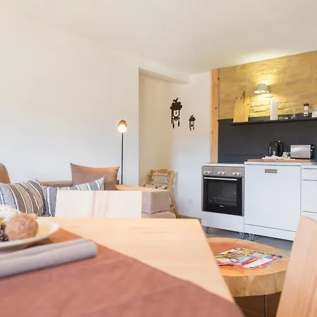 Menzenschwand Kapellenweg By Kuckucksnest * St. Blasien